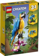 Конструктор LEGO Creator 31136: Экзотический попугай