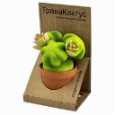 Сувенир ТраваКактус VYRASTI DEREVO "Маммиллярия зеленый"