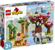 Конструктор LEGO DUPLO 10974: Дикие животные Азии