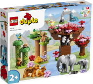 Конструктор LEGO DUPLO 10974: Дикие животные Азии