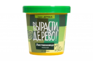 Набор д/выращивания растений "Вырасти, Дерево!", "Лиственница японская"