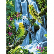 Живопись по номерам на картоне 30х40 см "Попугаи у водопада", Azart